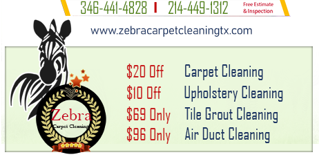 Carpet Steam Cleaning