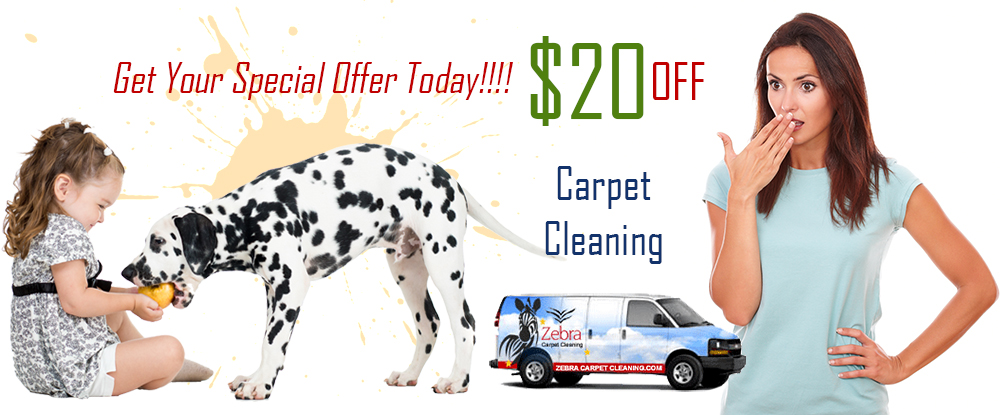 Carpet Steam Cleaning